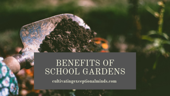 6-benefits-of-school-gardens