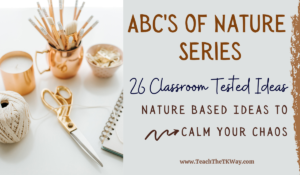 what is nature based education
