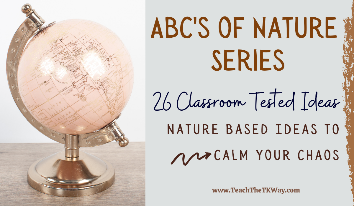 what is the classroom environment