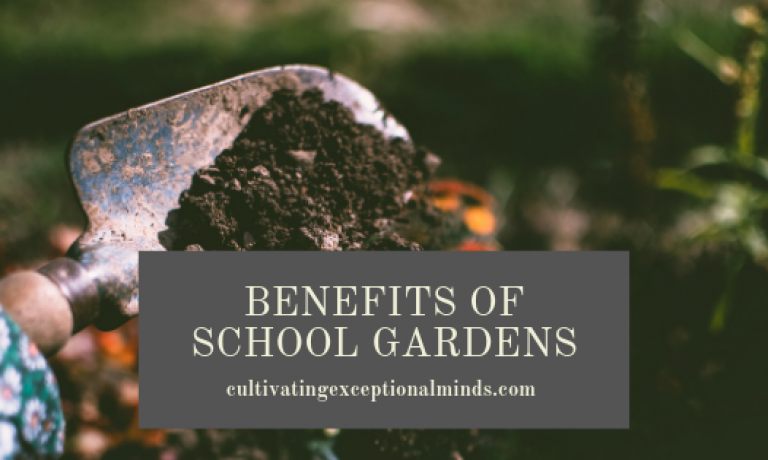 6-benefits-of-school-gardens